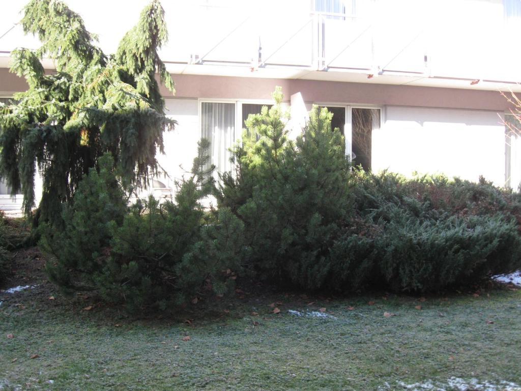Holiday Apartments Warmbad فيلاخ المظهر الخارجي الصورة